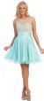 Floral Pattern Bodice Short Tulle Party Prom Dress in Mint